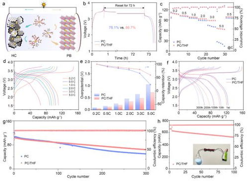 溫州大學(xué),一天兩頂刊